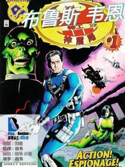 布鲁斯韦恩神盾特工