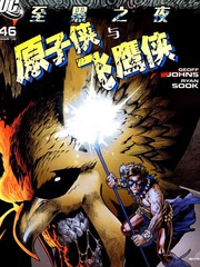 至黑之夜原子侠与飞鹰侠